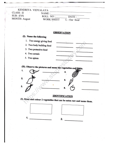 CBSE Class 2 EVS Practice Our Food Worksheet Set B